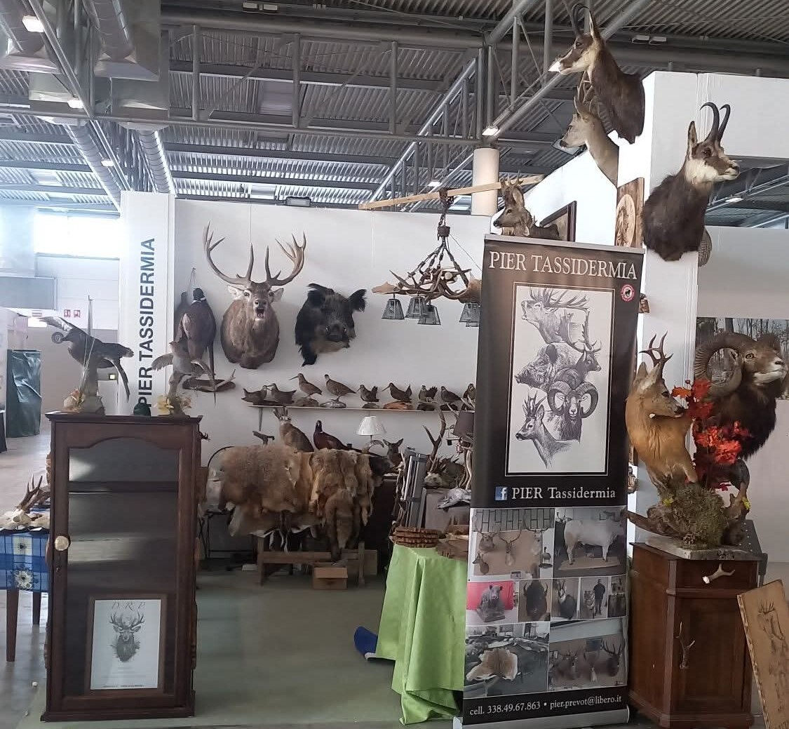 FB_IMG_1768813344543-df13f8 quadrato