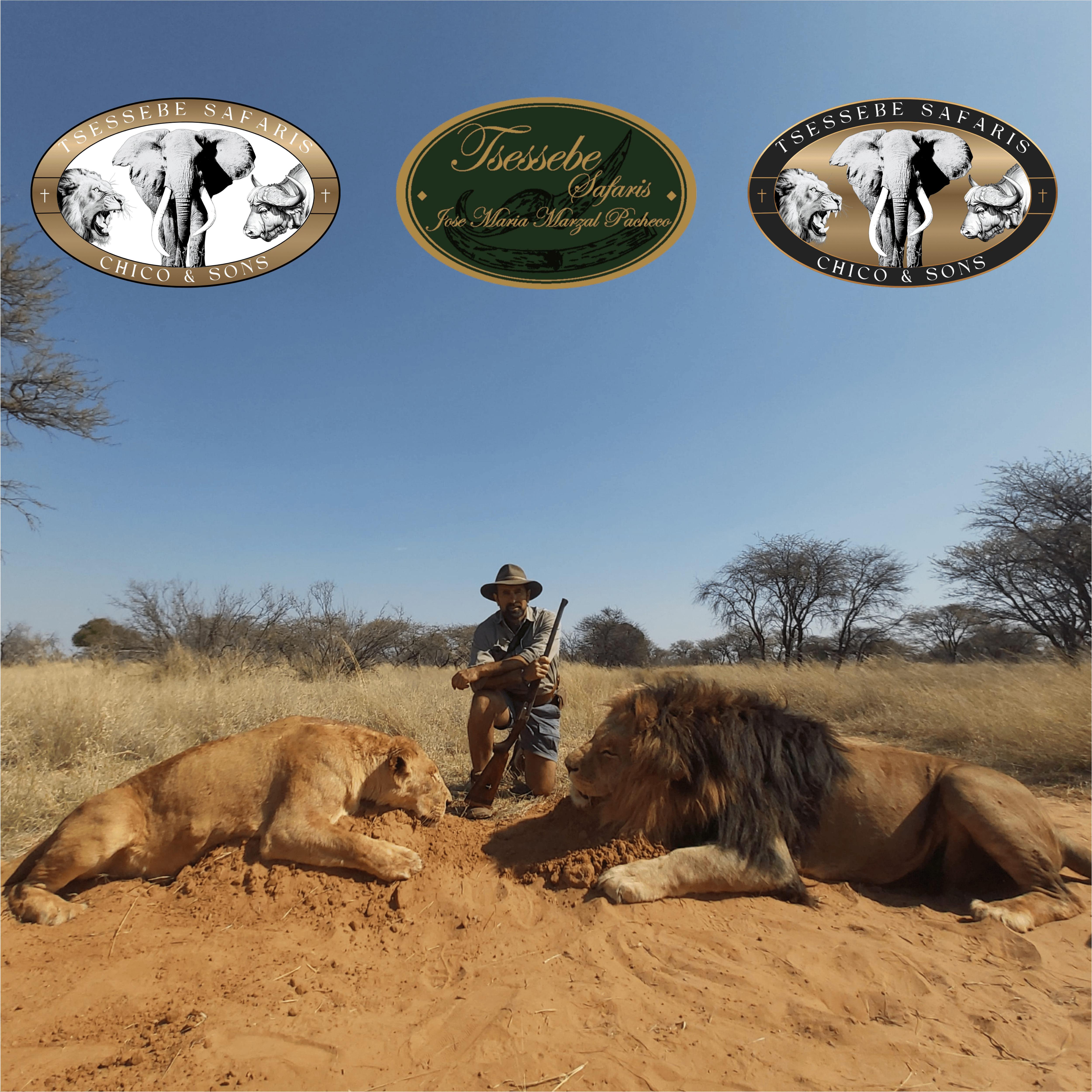 Foto-dos-leones-y-logos-962ef7