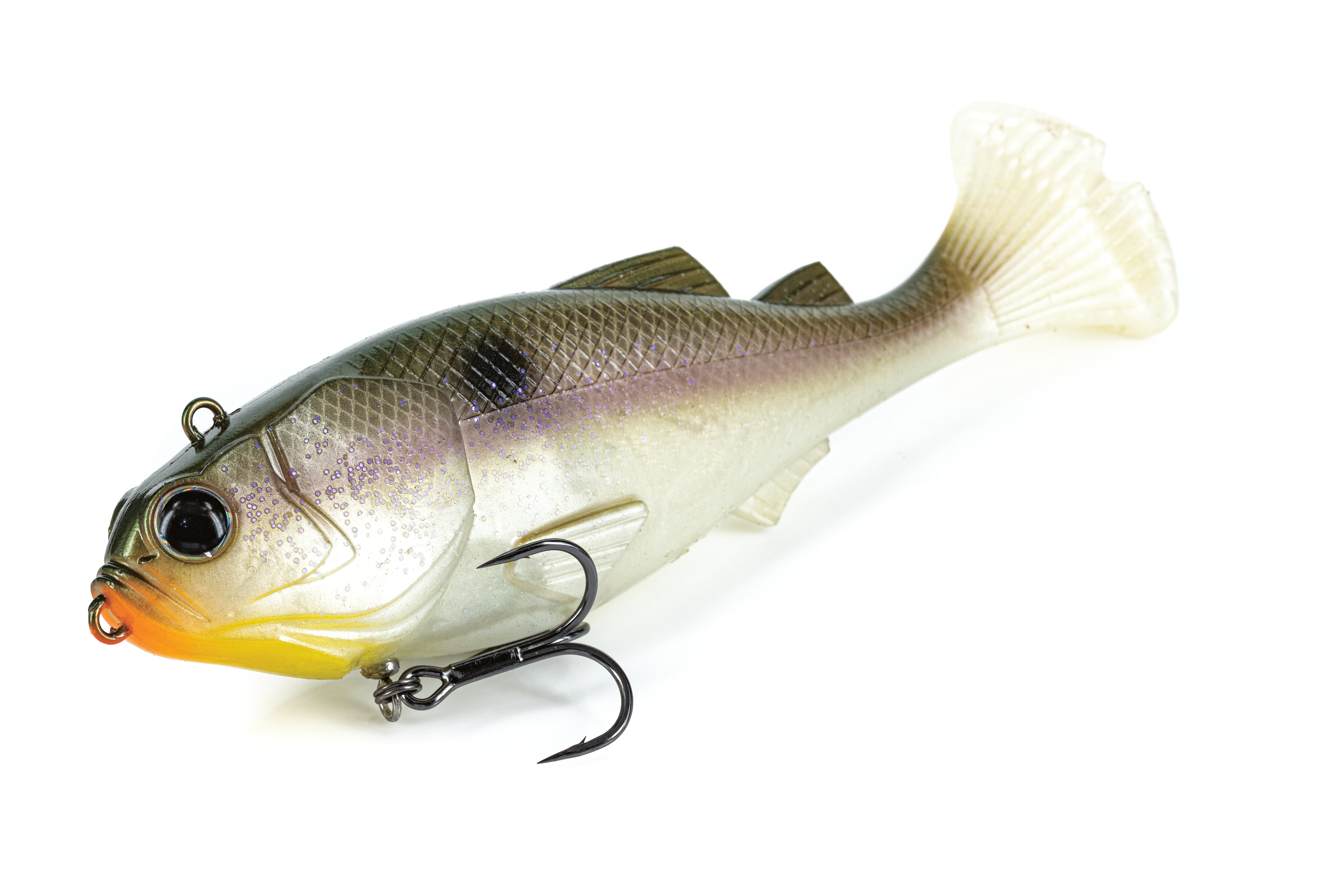 Hybrid Swimmer 165_311 Blueback Herring