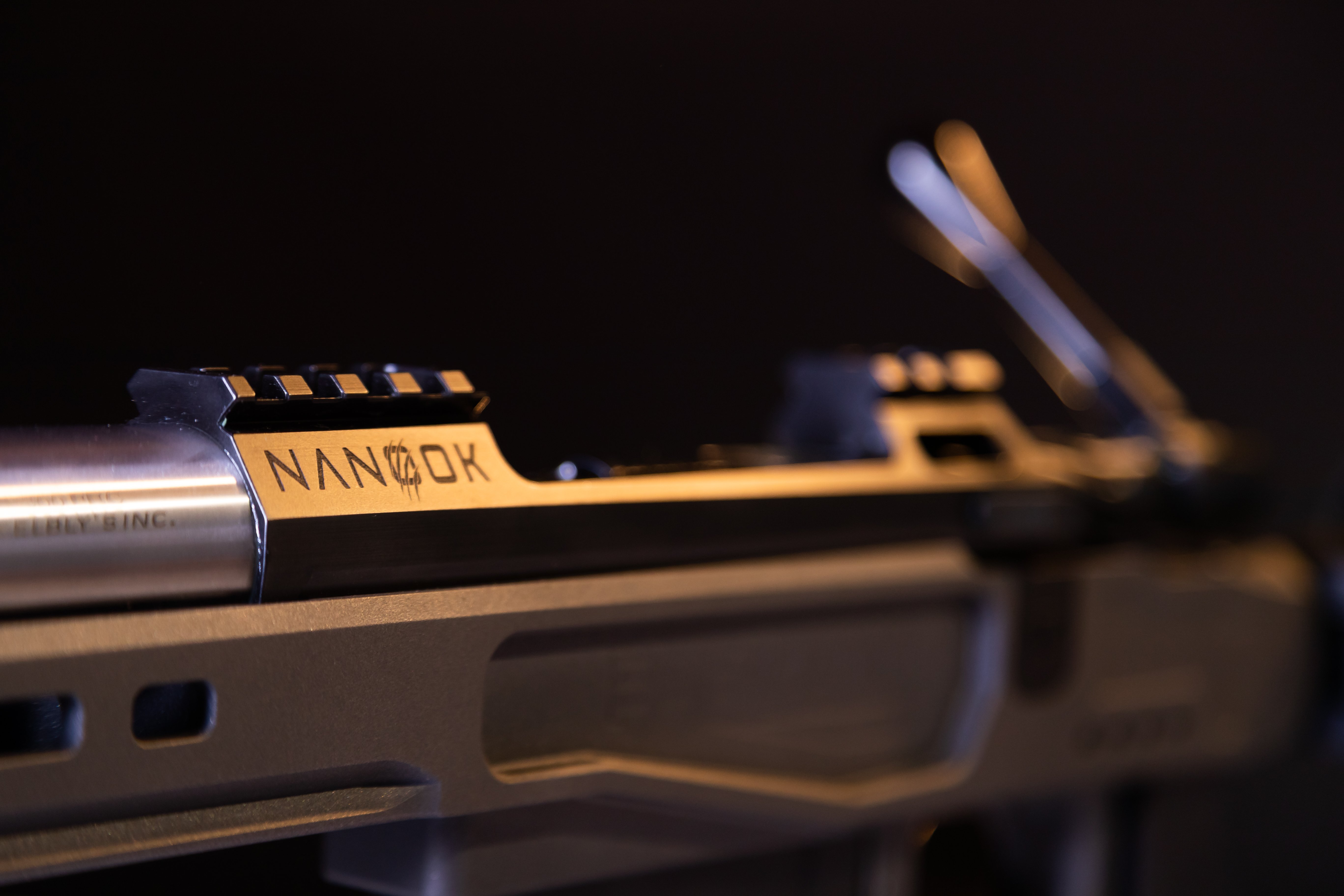 Kelbly Nanook Mg Rifle armeria Regina