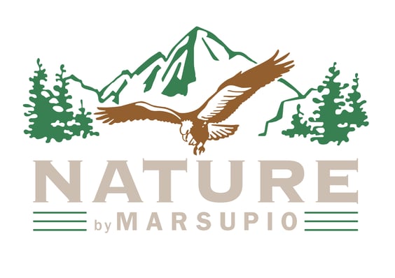 NATURE-logo