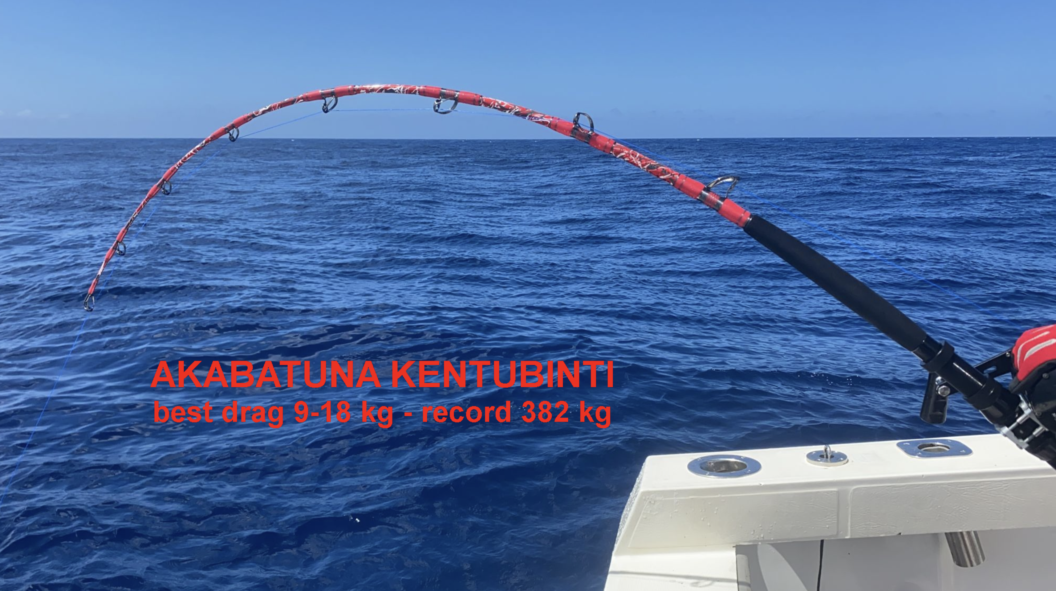ambermax rods canne da pesca