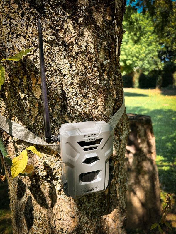 fototrappola-flex-dark-3d8b8a