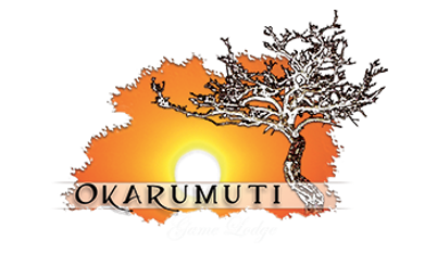 okarumuti (1)