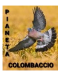 pianeta colombacio