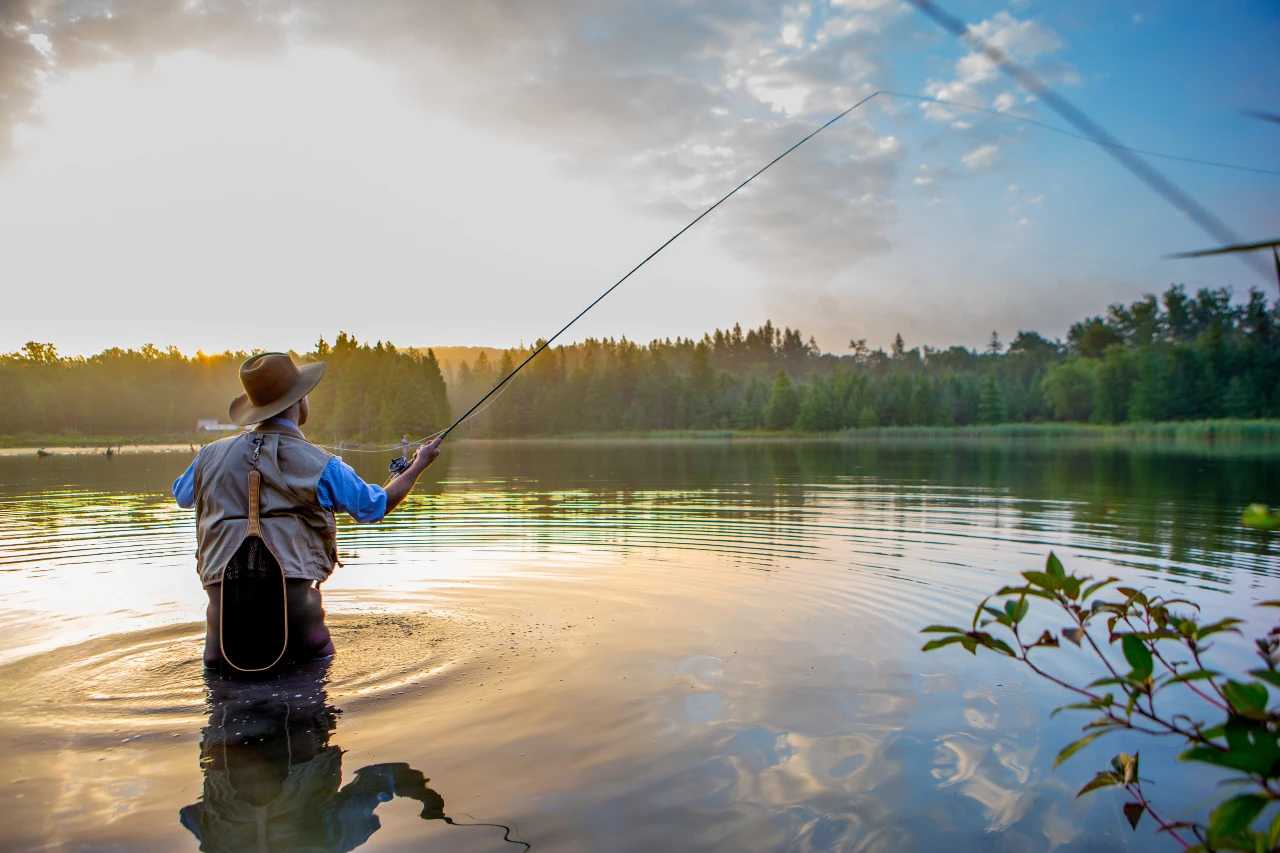 shutterstock_459296227 (2)(2)